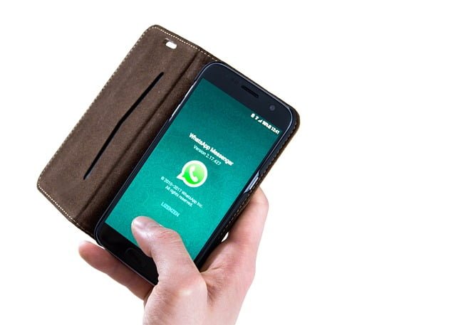 Apakah WhatsApp Centang Hijau?
