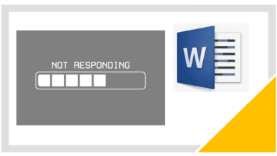 Microsoft Word