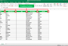 Cek data ganda