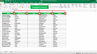Cek data ganda