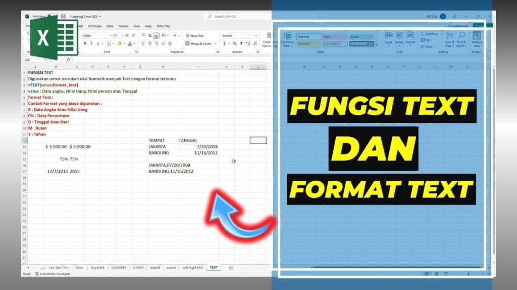 fungsi TEXT